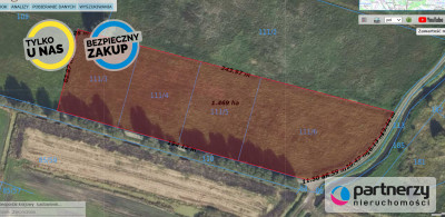 4 Działki pod składymagazyny Od 3000m2 do 5665m2 - Zajączkowo  -
Pomorskie Zdjęcie nr 3