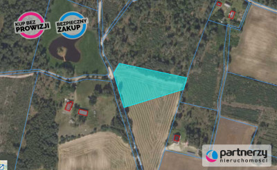Piękna działa obok lasu - Małe Chełmy-Wybudowanie  -
Pomorskie Zdjęcie nr 3