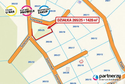 Duża działka wsród drzew niedaleko Szemudu - Kamień  - Pomorskie