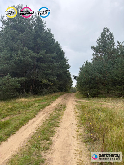 Duża działka wsród drzew niedaleko Szemudu - Kamień  -
Pomorskie Zdjęcie nr 5