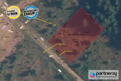 PEŁNE UZBROJENIE  LAS JEZIORO  PROSTOKĄTNA - powiat kartuski  -
Pomorskie Zdjęcie nr 2