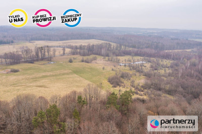 Piekna działka z potencjałem w Zastawnie - powiat elbląski  -
Warmińsko-Mazurskie Zdjęcie nr 10