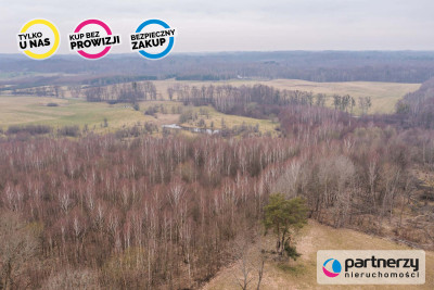 Piekna działka z potencjałem w Zastawnie - powiat elbląski  -
Warmińsko-Mazurskie Zdjęcie nr 7
