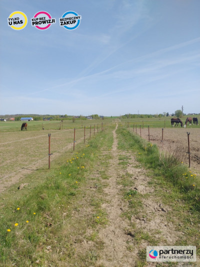 Działka 7 ha w Kleszczewie - powiat gdański  -
Pomorskie Zdjęcie nr 2