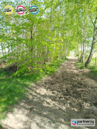 Działka 7 ha w Kleszczewie - powiat gdański  -
Pomorskie Zdjęcie nr 4