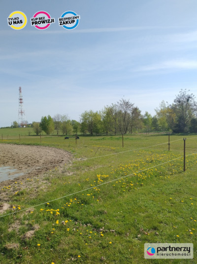 Działka 7 ha w Kleszczewie - powiat gdański  -
Pomorskie Zdjęcie nr 8