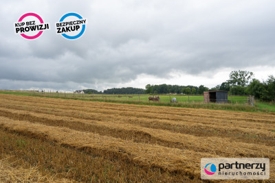 Działka blisko zatoki Puckiej - cisza i spokój - powiat pucki  -
Pomorskie Zdjęcie nr 2