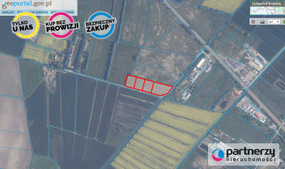 4 działki rolne z możliwością przekształcenia - powiat tczewski  -
Pomorskie Zdjęcie nr 2