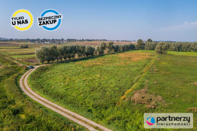 4 działki rolne z możliwością przekształcenia - powiat tczewski  -
Pomorskie Zdjęcie nr 8