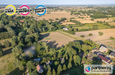 Działka 2500 m w Groblicy gmina Ostaszewo - powiat nowodworski  -
Pomorskie Zdjęcie nr 3