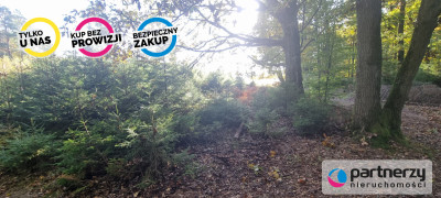 Ładna działka w dobrej okolicy - powiat wejherowski  -
Pomorskie Zdjęcie nr 12
