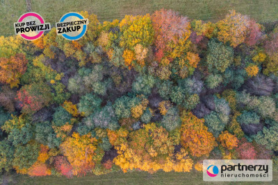 Buszkowy Piękna cicha lokalizacja - powiat gdański  -
Pomorskie Zdjęcie nr 4