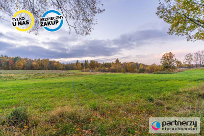 PRĄD  WODA  GAZ  ASFALTOWA DROGA - powiat kartuski  -
Pomorskie Zdjęcie nr 13