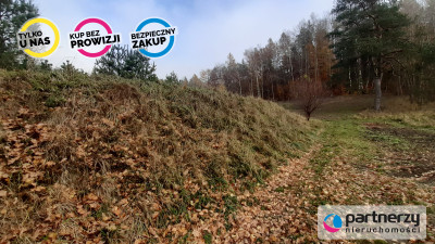 DZIAŁKI z WZ  Smętowo Chmieleńskie przy lesie - powiat kartuski  -
Pomorskie Zdjęcie nr 10