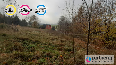 DZIAŁKI z WZ  Smętowo Chmieleńskie przy lesie - powiat kartuski  -
Pomorskie Zdjęcie nr 6