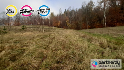 DZIAŁKI z WZ  Smętowo Chmieleńskie przy lesie - powiat kartuski  -
Pomorskie Zdjęcie nr 8