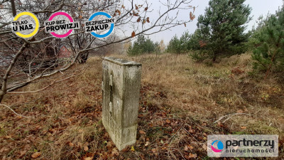 DZIAŁKI z WZ  Smętowo Chmieleńskie przy lesie - powiat kartuski  -
Pomorskie Zdjęcie nr 9