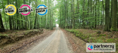 GRZMIĄCA - DZIAŁKA W OKOLICY BYTOWA - powiat bytowski  -
Pomorskie Zdjęcie nr 9