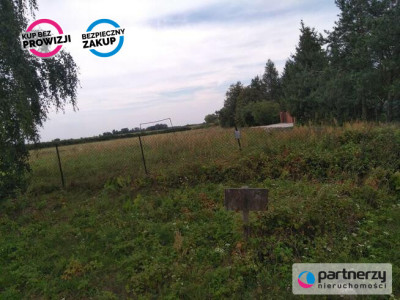 Działka 127ha z warunkami zabudowy - powiat żyrardowski  -
Mazowieckie Zdjęcie nr 6