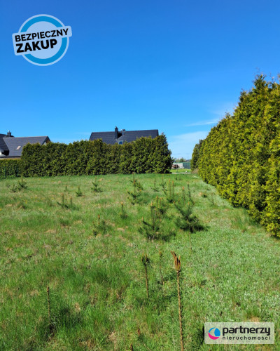 Idealna Śliczna działka w otulinie Drzew - powiat kartuski  -
Pomorskie Zdjęcie nr 6