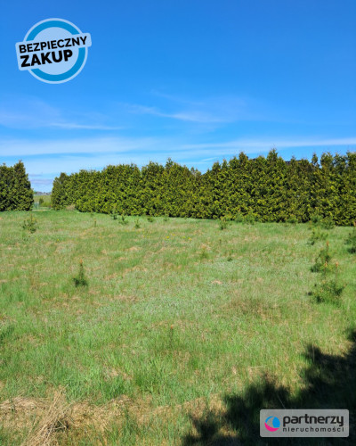 Idealna Śliczna działka w otulinie Drzew - powiat kartuski  -
Pomorskie Zdjęcie nr 8