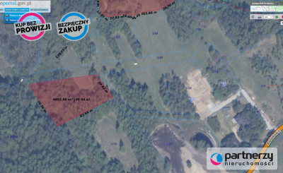 WYJĄTKOWE miejscedla Konesera Graniczna Wieś - powiat gdański  -
Pomorskie Zdjęcie nr 2
