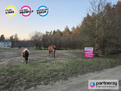 Działka 2574 m2 Nowy Targ gm Stary Targ - powiat sztumski  -
Pomorskie