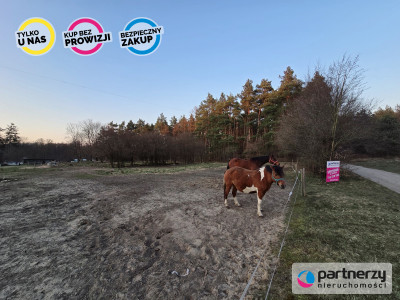 Działka 2574 m2 Nowy Targ gm Stary Targ - powiat sztumski  -
Pomorskie Zdjęcie nr 2