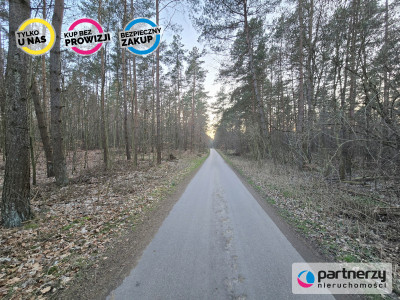Działka 2574 m2 Nowy Targ gm Stary Targ - powiat sztumski  -
Pomorskie Zdjęcie nr 5