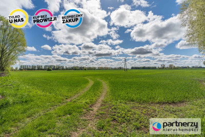 Pod działki Rod  Produkcja Rybacka  Rolnictwo - Gdańsk  -
Pomorskie Zdjęcie nr 14