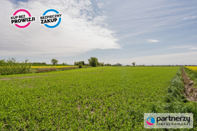 Działka inwestycyjna w Gdańsku - Gdańsk  -
Pomorskie Zdjęcie nr 6