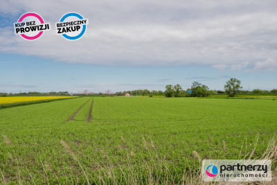 Działka inwestycyjna w Gdańsku - Gdańsk  -
Pomorskie Zdjęcie nr 7