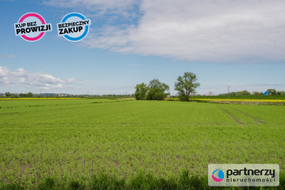 Działka inwestycyjna w Gdańsku - Gdańsk  -
Pomorskie Zdjęcie nr 8