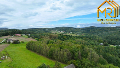 1 ha działki rolnej w gminie Szerzyny  - Żurowa  -
małopolskie Zdjęcie nr 5