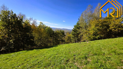 Widokowa działka rolna z panoramą na Dunajec - Melsztyn  -
małopolskie Zdjęcie nr 8
