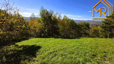 Widokowa działka rolna z panoramą na Dunajec - Melsztyn  -
małopolskie Zdjęcie nr 9