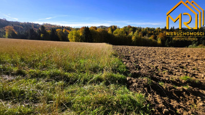 Działka rolno-rekreacyjna w gminie Czchów - Piaski-Drużków  -
małopolskie Zdjęcie nr 11