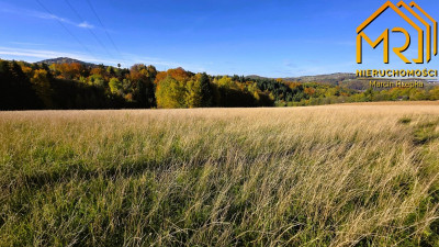 Działka rolno-rekreacyjna w gminie Czchów - Piaski-Drużków  -
małopolskie Zdjęcie nr 12