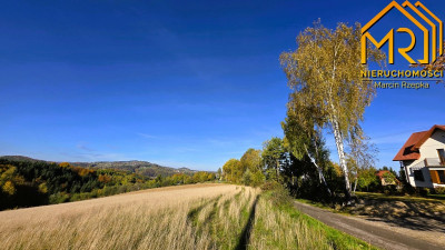 Działka rolno-rekreacyjna w gminie Czchów - Piaski-Drużków  -
małopolskie Zdjęcie nr 9
