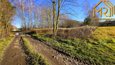 Atrakcyjna działka budowlana w gminie Skrzyszów - Pogórska Wola  -
małopolskie Zdjęcie nr 14