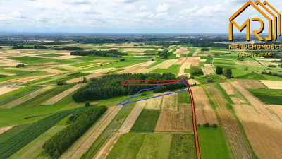 Działki leśne w gm Lisia Góra - Łukowa  - małopolskie