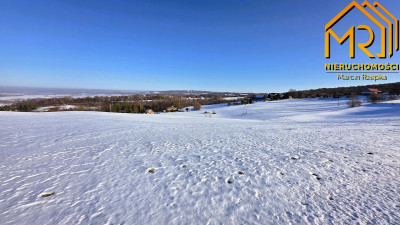 Grunt rolny w Świebodzinie  - Świebodzin  -
małopolskie Zdjęcie nr 8