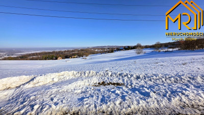 Grunt rolny w Świebodzinie  - Świebodzin  -
małopolskie Zdjęcie nr 9