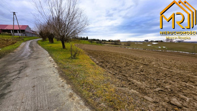 Działki rolne w Świebodzinie - Świebodzin  -
małopolskie Zdjęcie nr 10