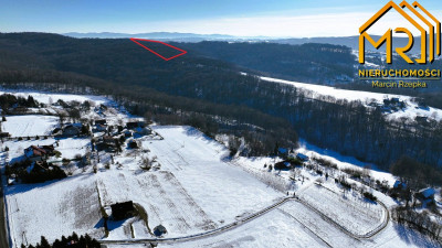 Działka leśna 035 ha w gminie Pleśna - Świebodzin  - małopolskie