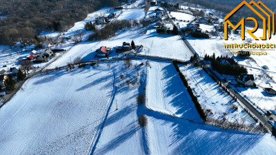 Działka leśna 035 ha w gminie Pleśna - Świebodzin  -
małopolskie Zdjęcie nr 2