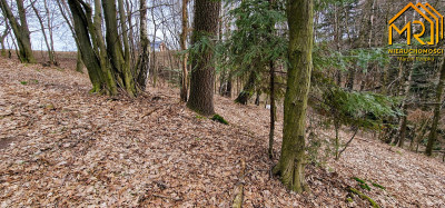 Duża działka rolno  leśna w gm Gromnik - Brzozowa  -
małopolskie Zdjęcie nr 12