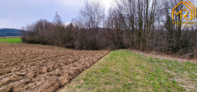 Duża działka rolno  leśna w gm Gromnik - Brzozowa  -
małopolskie Zdjęcie nr 13