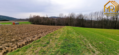 Duża działka rolno  leśna w gm Gromnik - Brzozowa  -
małopolskie Zdjęcie nr 14