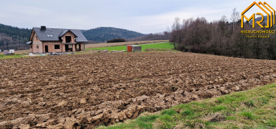 Duża działka rolno  leśna w gm Gromnik - Brzozowa  -
małopolskie Zdjęcie nr 5